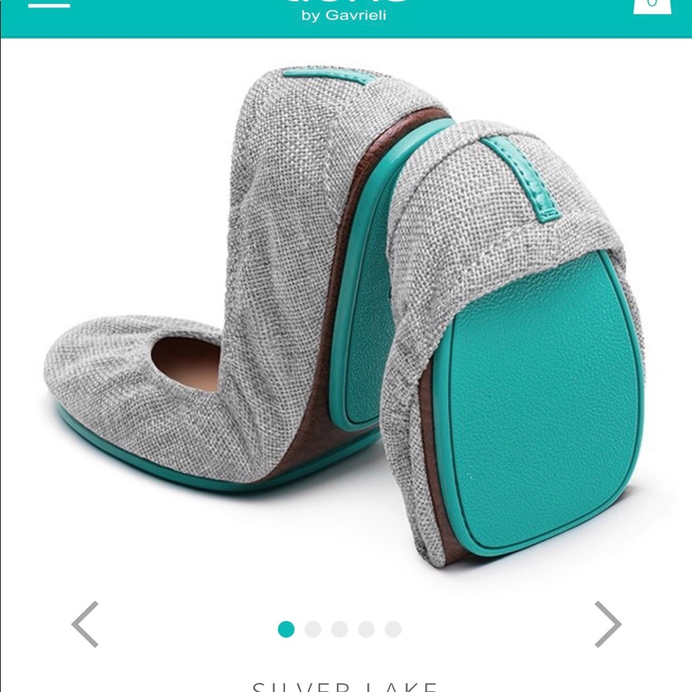 Tieks size 10 “silver lake”